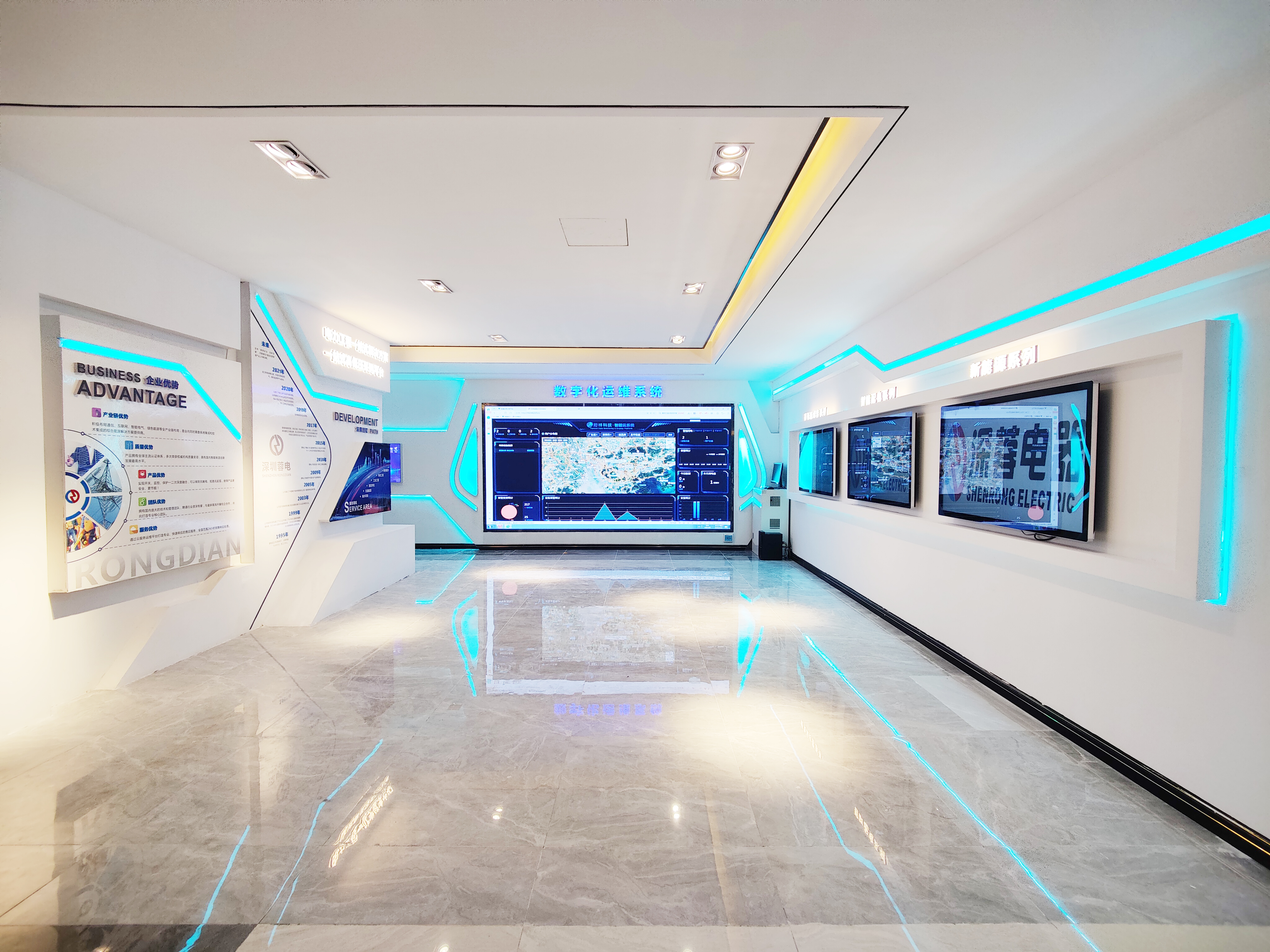 深圳市蓉電實業有限公司